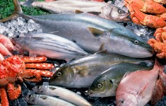 Замороженная рыба/морепродукты